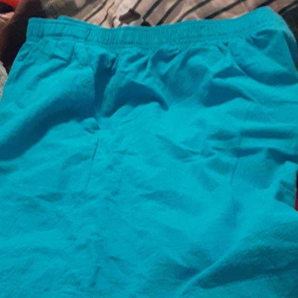 Kim Roger's 1g turquoise  shorts - Picture 3 of 5